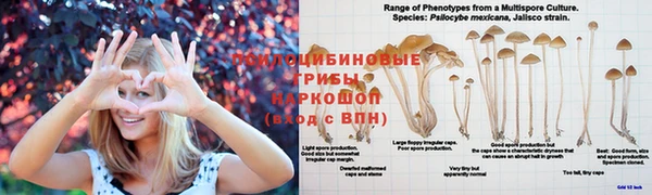 мет Абинск