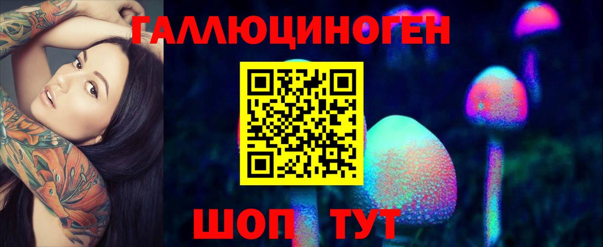 Псилоцибиновые грибы Psilocybe  Вход с VPN  Галлюциногенные грибы GOLDEN TEACHER  Отрадный 